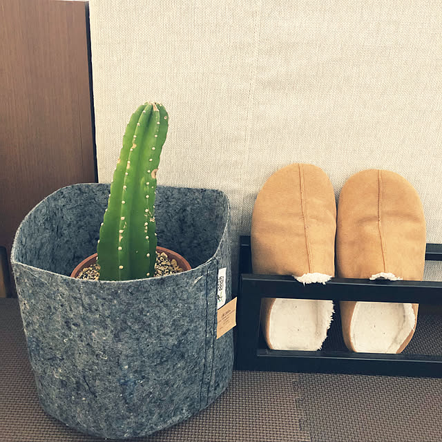 玄関/入り口/ルームシューズ/多肉植物/ソファ/100均のインテリア実例 - 2018-12-26 23:42:37