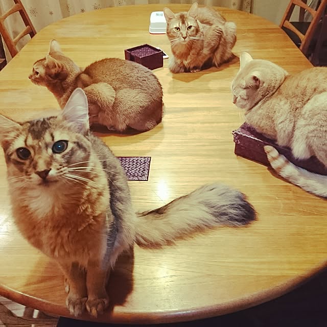 Mitsuruさんの実例写真