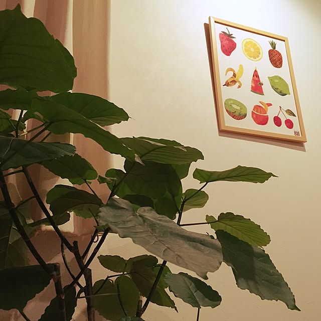 Ayaさんの実例写真