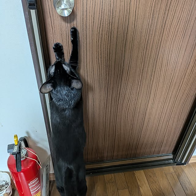 asaさんの部屋
