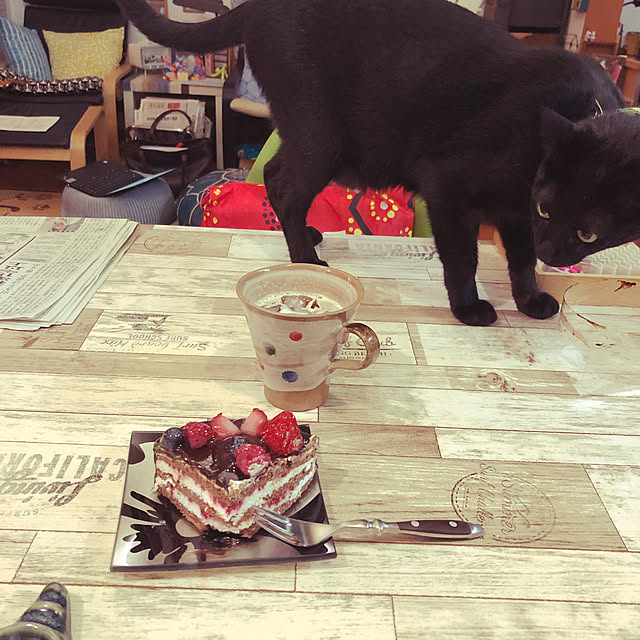 jijiさんの実例写真