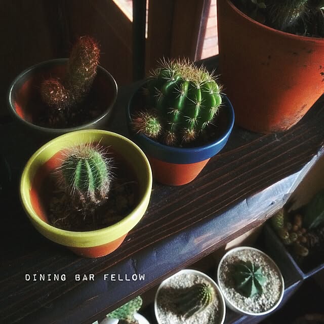 Fellowさんの実例写真