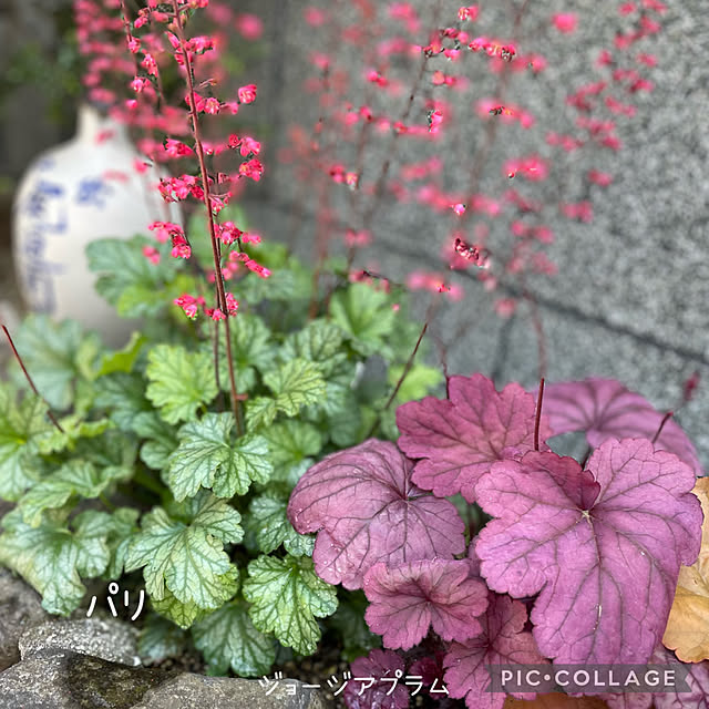 buchiさんの部屋