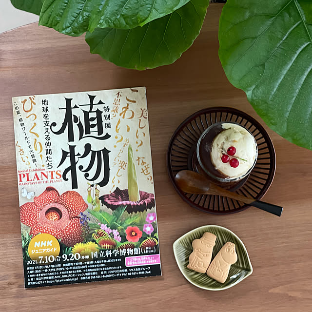 miechuraさんの実例写真