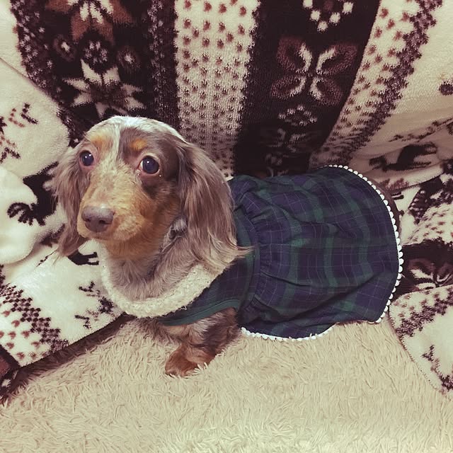tamtam1120さんの実例写真