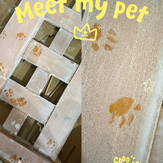 totoさんの実例写真