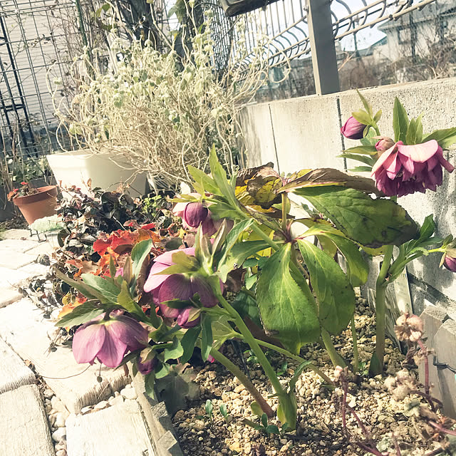 92さんの実例写真