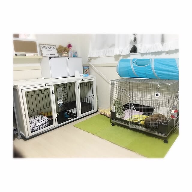 Kanaeさんの実例写真