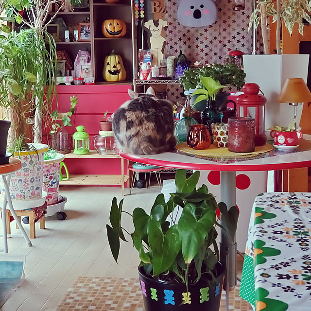 kumutanさんの実例写真
