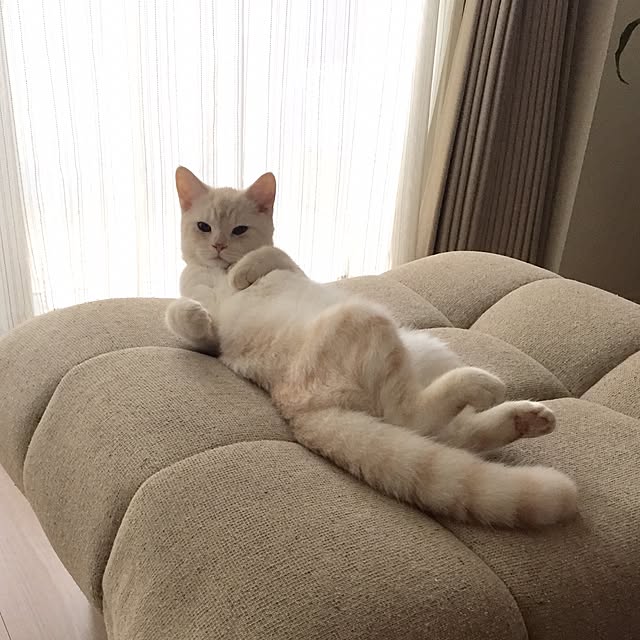 y.k.0123さんの実例写真