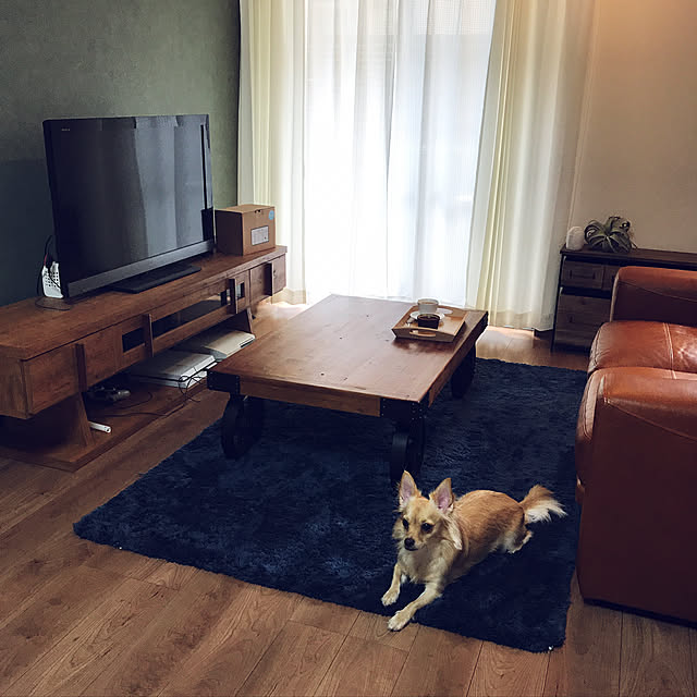 部屋全体/フェイクグリーンのインテリア実例 - 2017-08-26 17:46:36