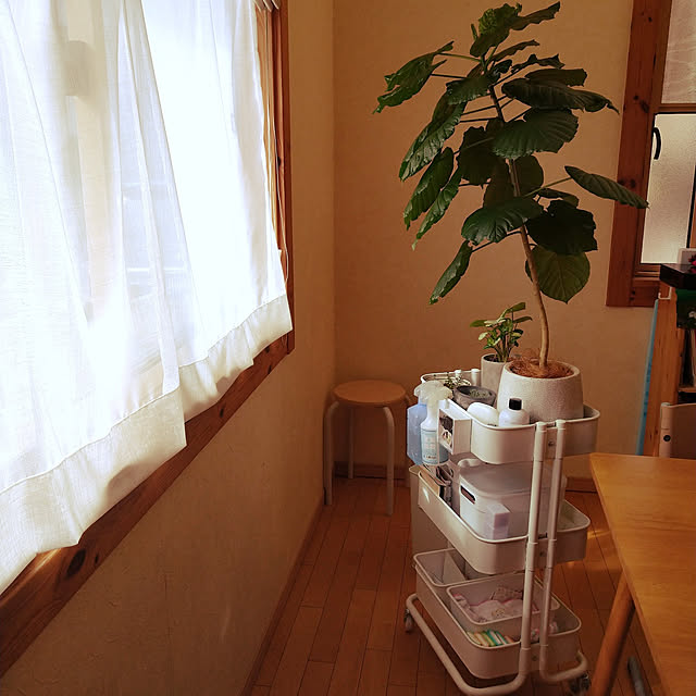 FUMさんの実例写真