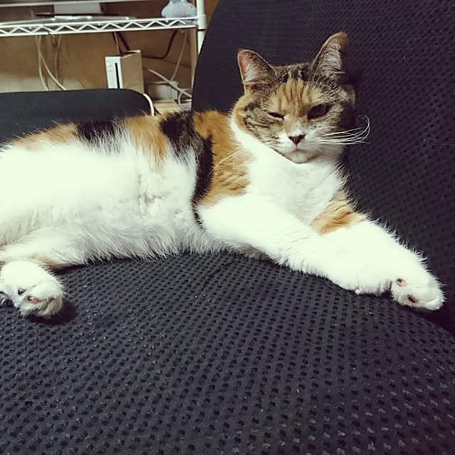 yukieさんの実例写真