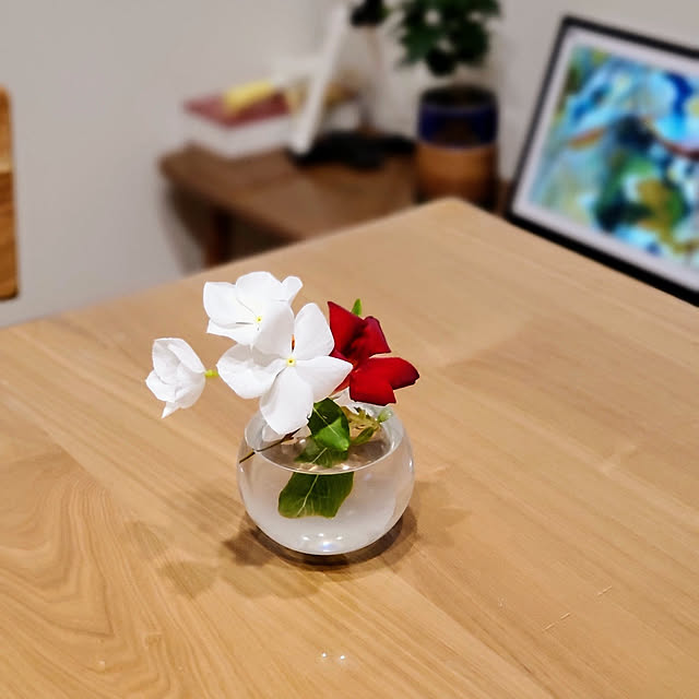tomatopapaさんの実例写真