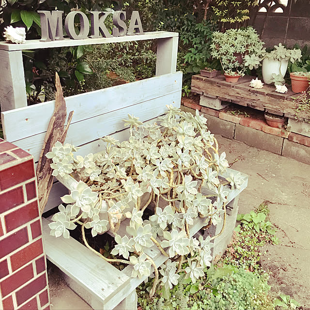 moksaさんの実例写真