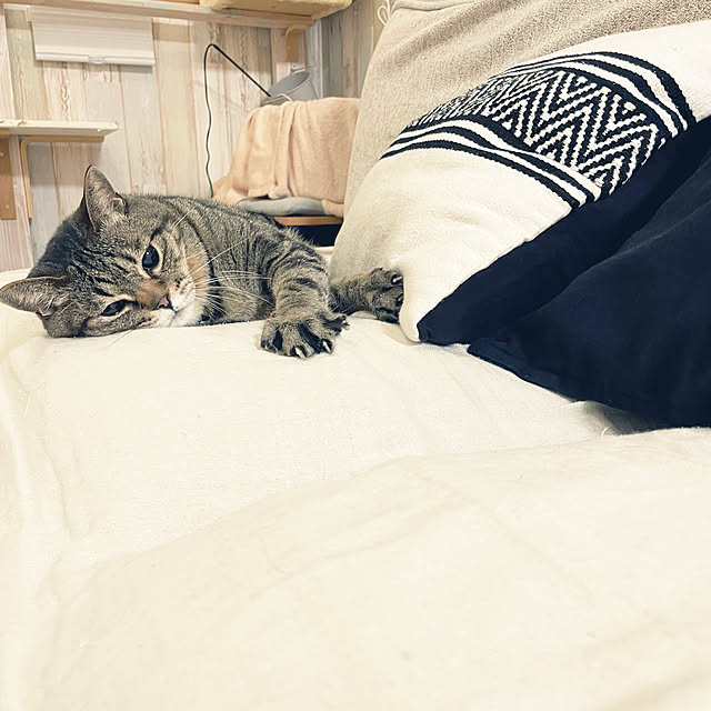 t-famさんの部屋