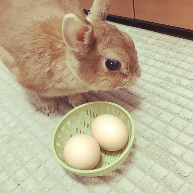 mimichankさんの実例写真