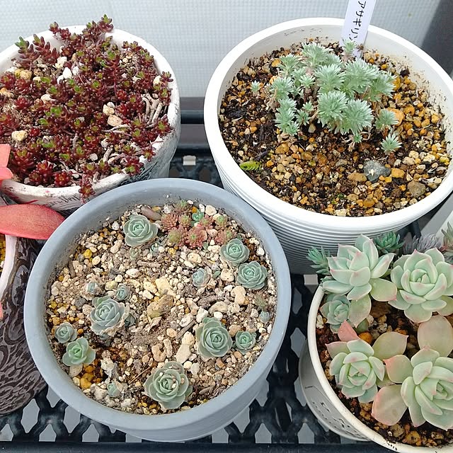 meiさんの実例写真