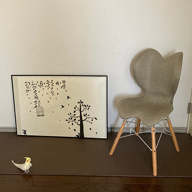 toratanさんの部屋