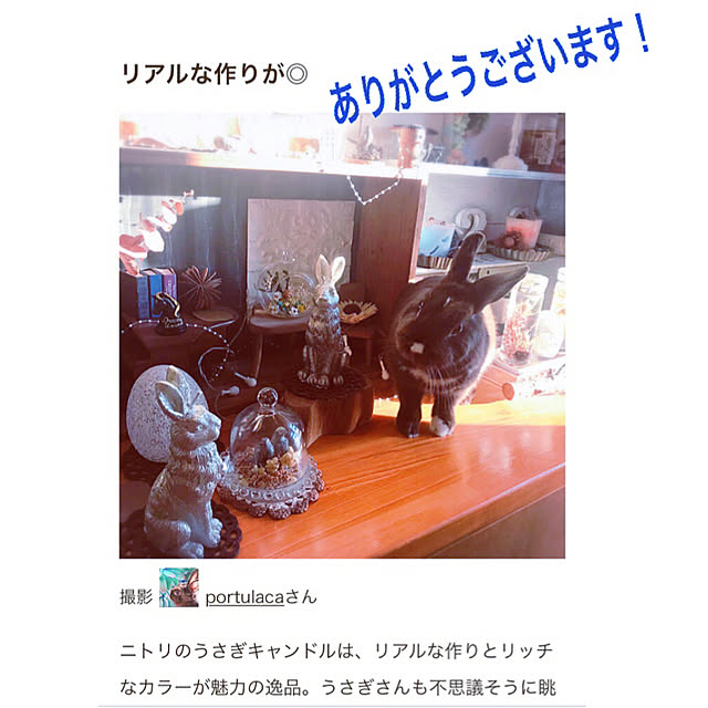 portulacaさんの実例写真