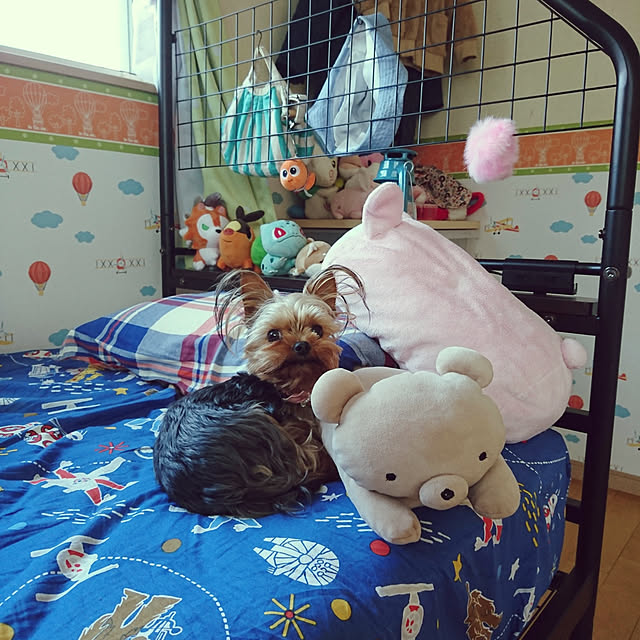 akiさんの実例写真