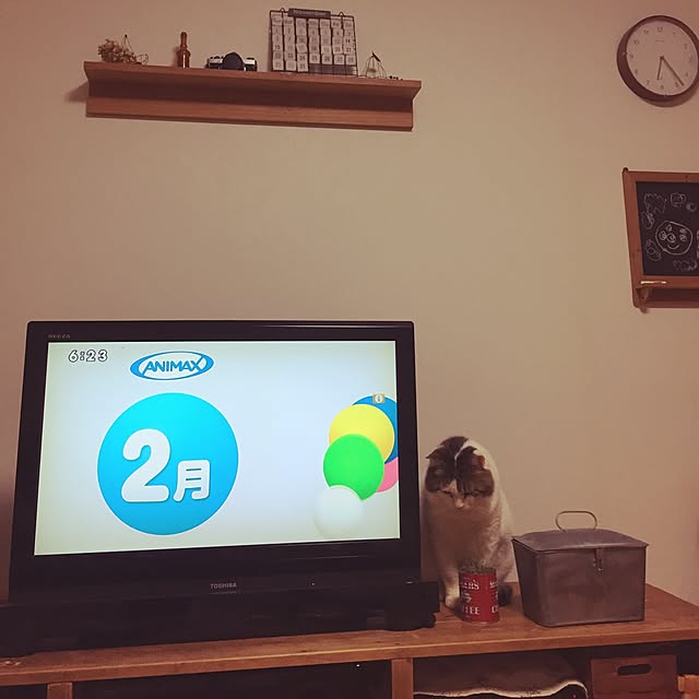 chiimalさんの実例写真