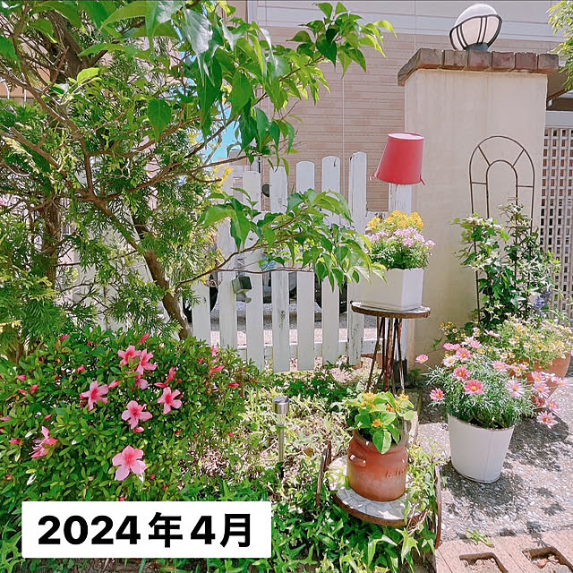 moolさんの部屋