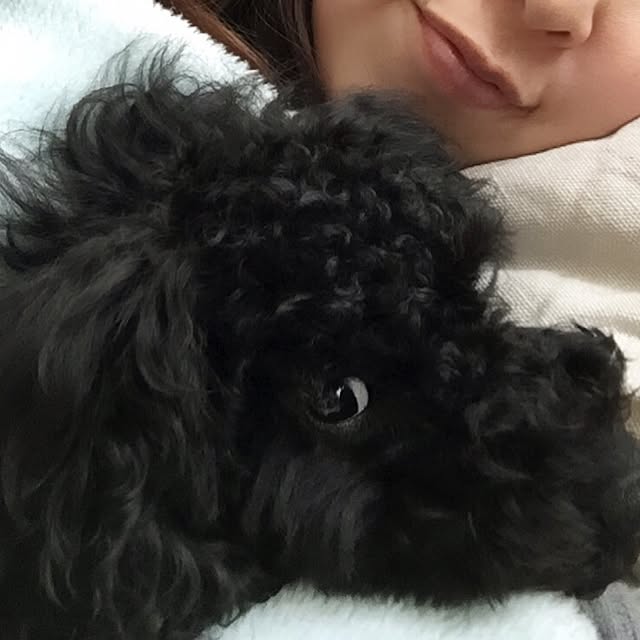 UNI.mamaさんの実例写真