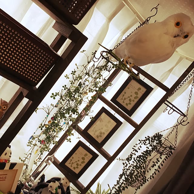 ainatsuさんの実例写真