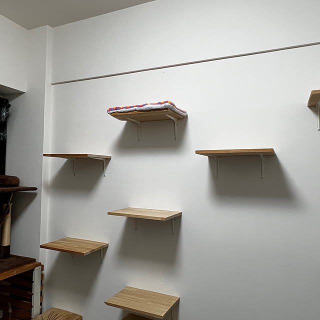 negimameさんの部屋