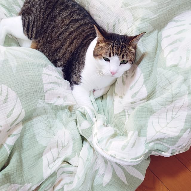 nachiさんの部屋