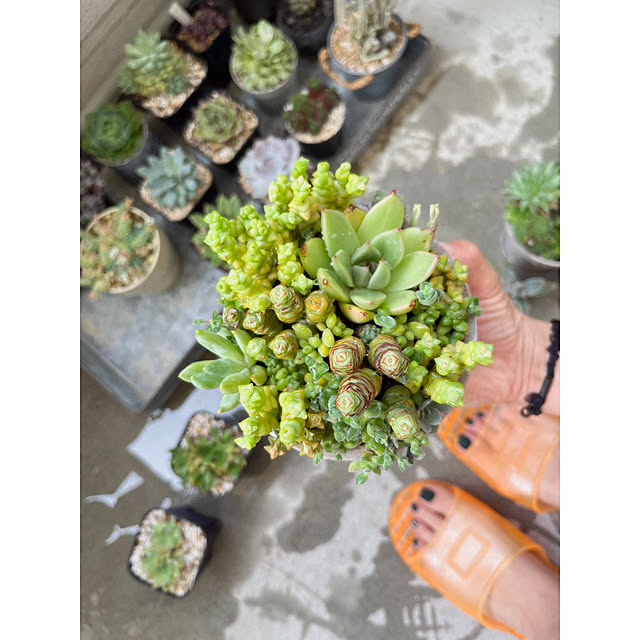 w_end_0625さんの実例写真