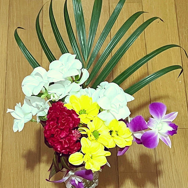 seiseiさんの実例写真
