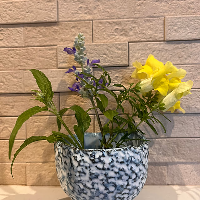 kojimasaさんの部屋