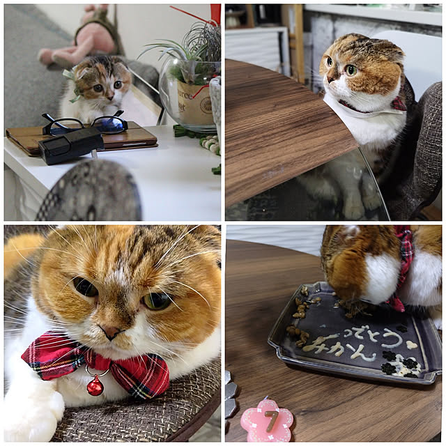 hiro3さんの実例写真