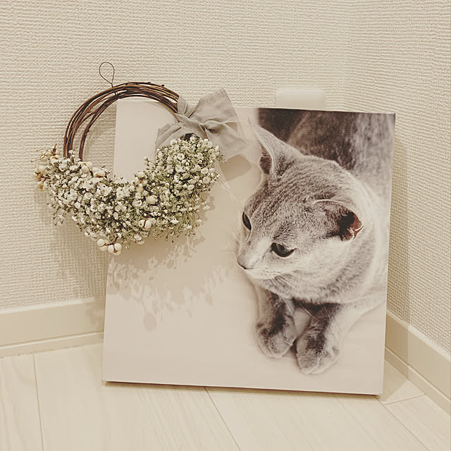 michunekoさんの実例写真