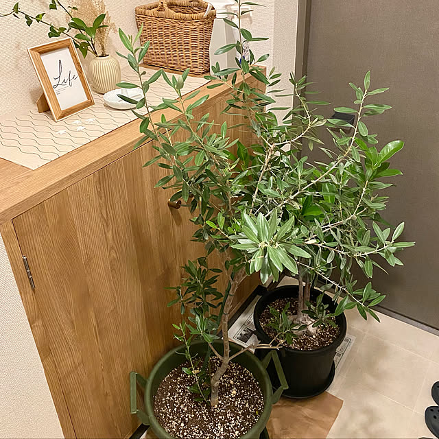 mi_h02さんの実例写真
