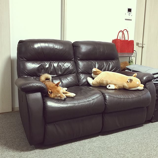 hanakoさんの実例写真