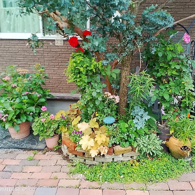 civicglさんの部屋