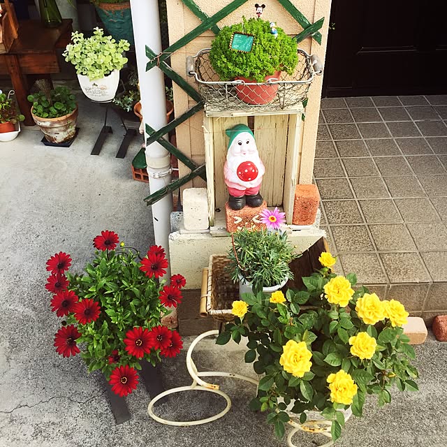 takakoさんの実例写真