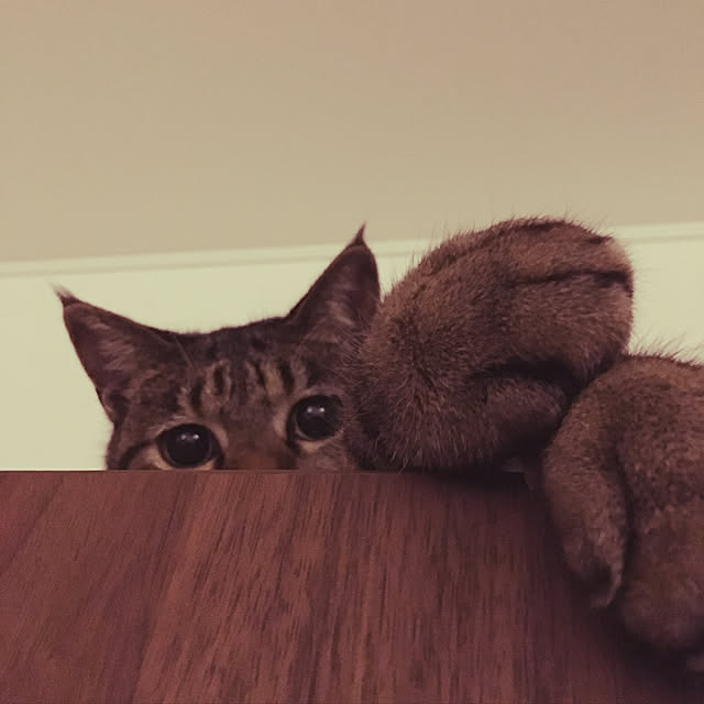 KANさんの実例写真