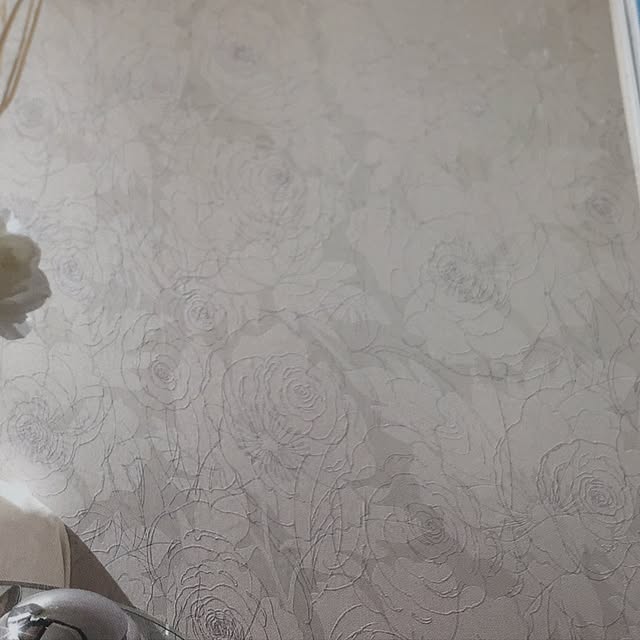 dijieさんの実例写真