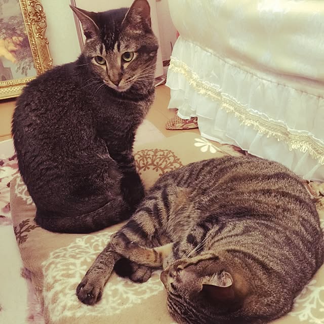 kyoさんの実例写真