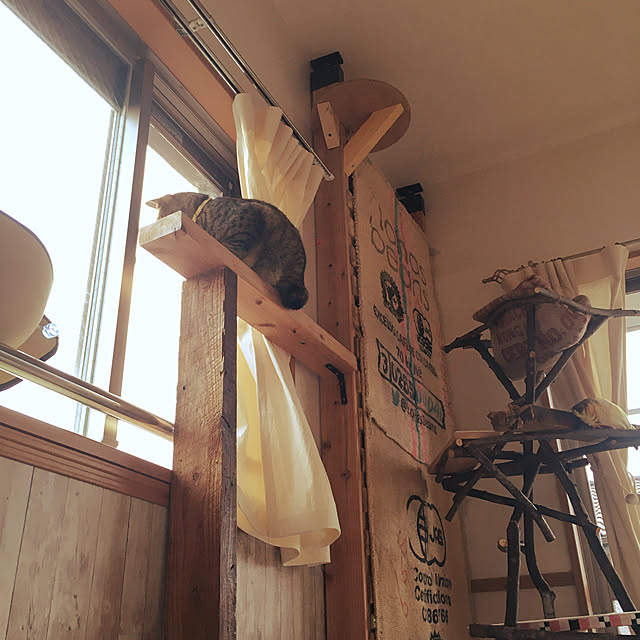 Mさんの実例写真