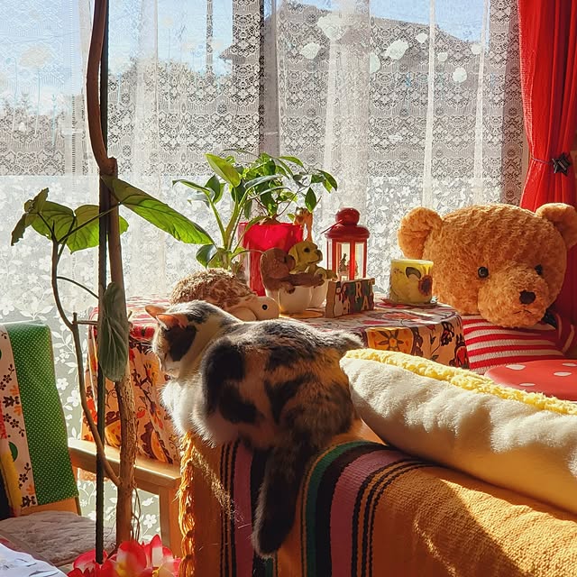kumutanさんの実例写真