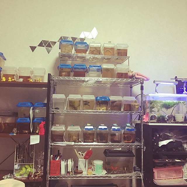 ayachan0710さんの実例写真
