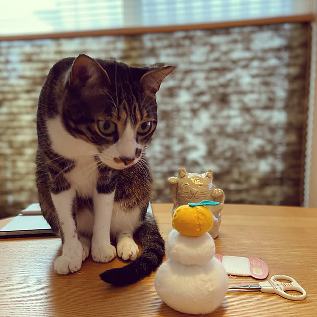 ippu0303Karinさんの実例写真