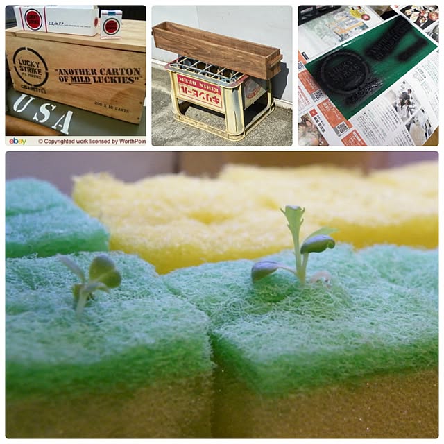 Makoto workplaceさんの実例写真