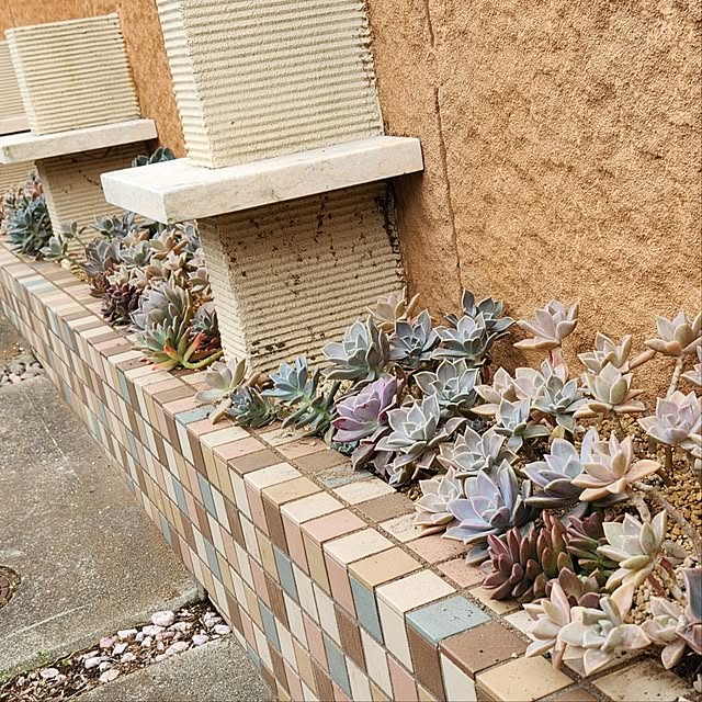 amtさんの実例写真