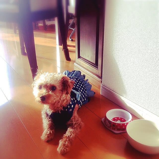 yさんの実例写真